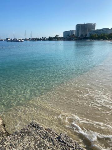 Ocho Rios Vacation Resort Property Rentals Zewnętrze zdjęcie